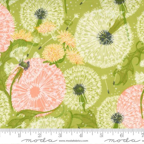 Dandi Duo by Robin Pickens - Dandelions Fields Florals Grass (48750-13)