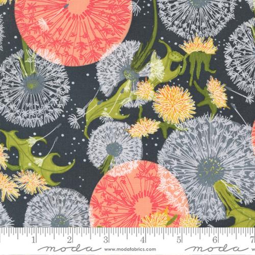 Dandi Duo by Robin Pickens - Dandelions Fields Florals Graphite (48750-18)
