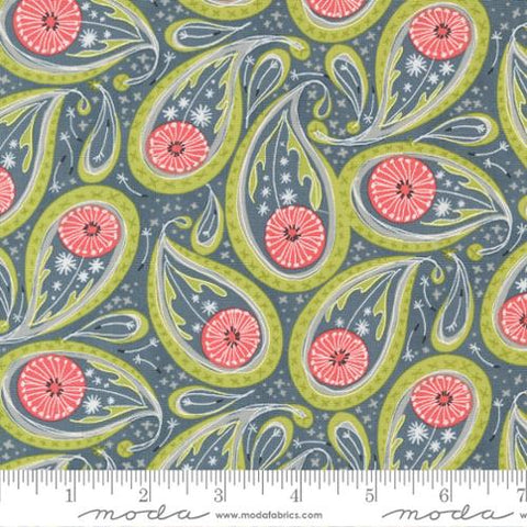 Dandi Duo by Robin Pickens for Moda - Paisley Graphite (48753-17)