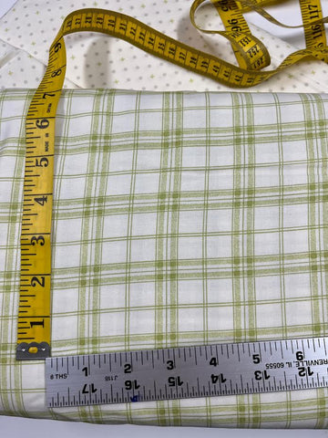 Bramble Cottage by Brenda Riddle Acorn Quilts for Moda - Green on cream plaid (18696-14)