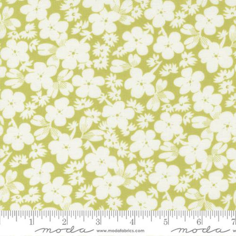 Fruit Cocktail by Fig Tree for Moda - Apple (20466-16)