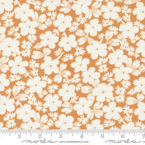 Fruit Cocktail by Fig Tree for Moda - Tangerine (20466-17)