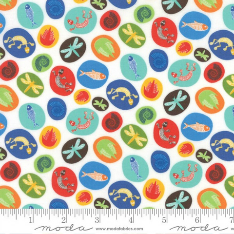 Jurassic Jamboree by Abi Hall - Fossils in White (35293-11)